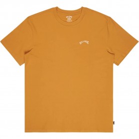 тениска,мъжки,тениски,дамски,тениски,billabong,arch,short,sleeve,t,shirt,brown,(honey)