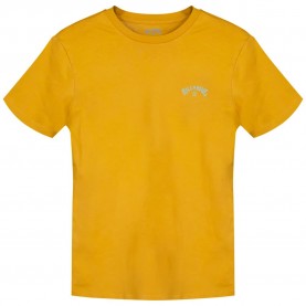 тениска,мъжки,тениски,дамски,тениски,billabong,arch,wave,short,sleeve,t,shirt,yellow,(honey)
