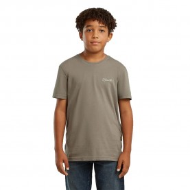 тениска,мъжки,тениски,дамски,тениски,g,star,base,d29213,01,short,sleeve,t,shirt,green,(wild,dove)