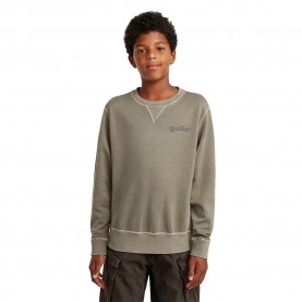 блуза,детски,блузи,g,star,premium,core,d29235,01,sweatshirt,green,(wild,dove)