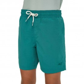 бански,гащета,детски,бански,костюми,o´neill,vert,swimming,shorts,green,(botanical,heat)
