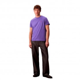 тениска,мъжки,тениски,дамски,тениски,calvin,klein,jeans,lv04rc275g,short,sleeve,t,shirt,purple,(purple,opulence)