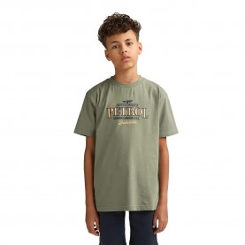 тениска,мъжки,тениски,дамски,тениски,petrol,industries,b,1060,tsr600,short,sleeve,t,shirt,green,(sage)