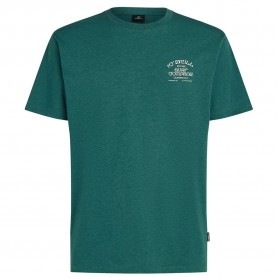 тениска,мъжки,тениски,дамски,тениски,o´neill,melange,chest,print,short,sleeve,t,shirt,green,(botanical,heat)