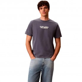 Тениска Calvin klein jeans 20S Washed Spine Graphic short sleeve T-shirt - Grey (Blue Nomad) тениска,мъжки,тениски,дамски,тениски,calvin,klein,jeans,20s,washed,spine,graphic,short,sleeve,t,shirt,grey,(blue,nomad)