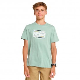 Тениска Rip curl Streamline Big Logo short sleeve T-shirt - Green (Aloe) тениска,мъжки,тениски,дамски,тениски,rip,curl,streamline,big,logo,short,sleeve,t,shirt,green,(aloe)
