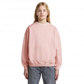 блуза,детски,блузи,g,star,d29779,01,oversize,sweatshirt,pink,(burnished,lilac)