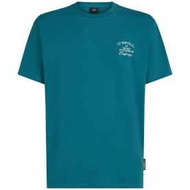 Тениска O´neill Beach Chest Print short sleeve T-shirt - Green (Botanical Heat) тениска,мъжки,тениски,дамски,тениски,o´neill,beach,chest,print,short,sleeve,t,shirt,green,(botanical,heat)