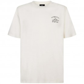 тениска,мъжки,тениски,дамски,тениски,o´neill,beach,chest,print,short,sleeve,t,shirt,white,(snow,white)