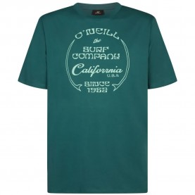 тениска,мъжки,тениски,дамски,тениски,o´neill,beach,front,print,short,sleeve,t,shirt,green,(botanical,heat)