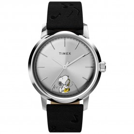 часовник,часовници,timex,peanuts,tw2w68800,40mm,5atm,quartz,analogical,watch,silver,(black,silver,acrylic)