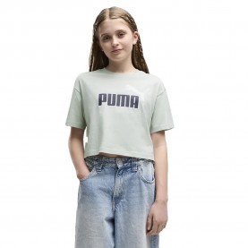 Тениска Puma Essential 2 Color Nº1 Logo Short Length short sleeve T-shirt - Green (Créme De Mint) тениска,мъжки,тениски,дамски,тениски,puma,essential,2,color,nº1,logo,short,length,short,sleeve,t,shirt,green,(créme,de,mint)