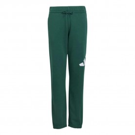 анцуг,мъжки,панталони,дамски,панталони,adidas,essentials,big,logo,french,terry,joggers,green,(collegiate,green,white)