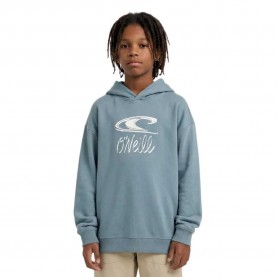 суичър,детски,блузи,o´neill,essentials,hoodie,blue,(murky,water)