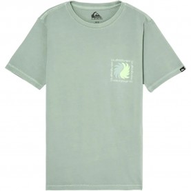 Тениска Quiksilver Evo Vibes short sleeve T-shirt - Green (Iceberg Green) тениска,мъжки,тениски,дамски,тениски,quiksilver,evo,vibes,short,sleeve,t,shirt,green,(iceberg,green)