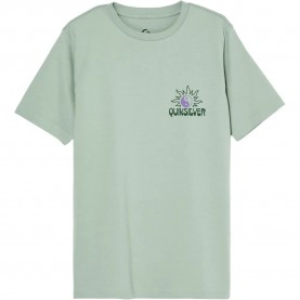 Тениска Quiksilver Fusion short sleeve T-shirt - Green (Iceberg Green) тениска,мъжки,тениски,дамски,тениски,quiksilver,fusion,short,sleeve,t,shirt,green,(iceberg,green)