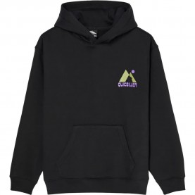 суичър,детски,блузи,quiksilver,graphic,hoodie,black,(black,black)