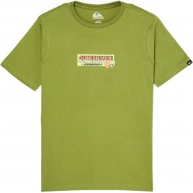 Тениска Quiksilver Specialize short sleeve T-shirt - Green (Calliste Green) тениска,мъжки,тениски,дамски,тениски,quiksilver,specialize,short,sleeve,t,shirt,green,(calliste,green)
