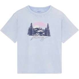 тениска,мъжки,тениски,дамски,тениски,roxy,evo,oversize,was,short,sleeve,t,shirt,blue,(cerulean)