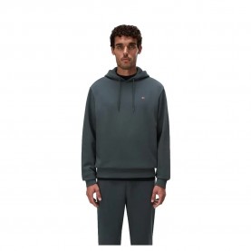 суичър,мъжки,пуловери,napapijri,balis,summer,hoodie,grey,(green,urban)