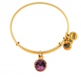 Alex and ani A12EB245RG bracelet - Golden (Gold / Purple) бижутерия,alex,and,ani,a12eb245rg,bracelet,golden,(gold,purple)