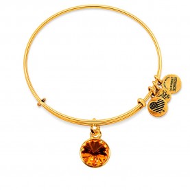 бижутерия,alex,and,ani,a12eb250rg,bracelet,golden,(gold,yellow)