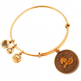 Alex and ani Capricorn bracelet - Golden (Gold) бижутерия,alex,and,ani,capricorn,bracelet,golden,(gold)