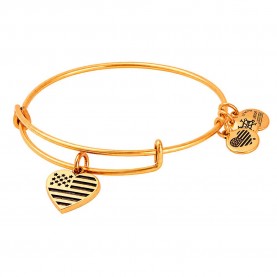 Alex and ani Flag Aged Finish bracelet - Golden (Gold) бижутерия,alex,and,ani,flag,aged,finish,bracelet,golden,(gold)