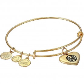 Alex and ani Heart bracelet - Golden (Gold) бижутерия,alex,and,ani,heart,bracelet,golden,(gold)