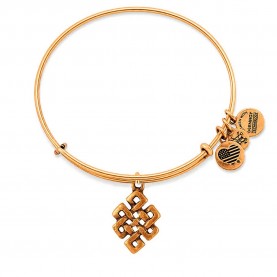 Alex and ani Intermediate Node bracelet - Golden (Gold) бижутерия,alex,and,ani,intermediate,node,bracelet,golden,(gold)