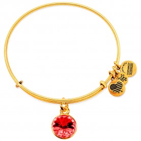 Alex and ani January bracelet - Golden (Gold) бижутерия,alex,and,ani,january,bracelet,golden,(gold)
