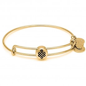 Alex and ani Knot bracelet - Golden (Gold) бижутерия,alex,and,ani,knot,bracelet,golden,(gold)
