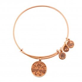 Alex and ani Swan bracelet - Golden (Gold) бижутерия,alex,and,ani,swan,bracelet,golden,(gold)