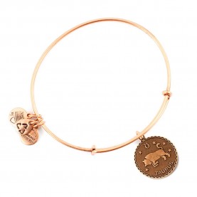 Alex and ani Taurus bracelet - Golden (Gold) бижутерия,alex,and,ani,taurus,bracelet,golden,(gold)
