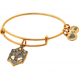 Alex and ani Tree Of Life 4 bracelet - Golden (Gold) бижутерия,alex,and,ani,tree,of,life,4,bracelet,golden,(gold)