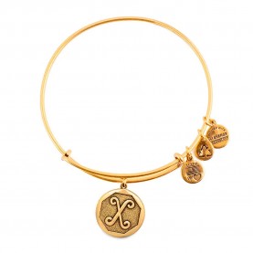 Alex and ani X II bracelet - Golden (Gold) бижутерия,alex,and,ani,x,ii,bracelet,golden,(gold)