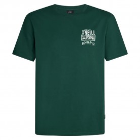Тениска O´neill Cali short sleeve T-shirt - Green (Emerald Envy) тениска,мъжки,тениски,дамски,тениски,o´neill,cali,short,sleeve,t,shirt,green,(emerald,envy)