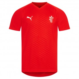 облекла,за,хандбал,dänemark,puma,handball,herren,trikot