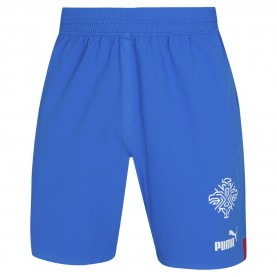 мъжки,къси,панталони,мъжки,къси,панталони,island,puma,men,player,issue,authentic,players,shorts