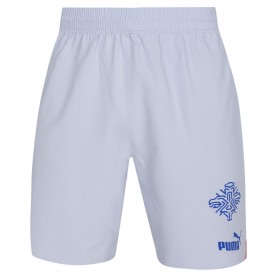 мъжки,къси,панталони,мъжки,къси,панталони,island,puma,men,player,issue,authentic,players,shorts
