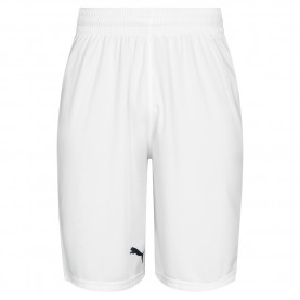 къси,панталони,мъжки,къси,панталони,баскетболни,облекла,puma,men,basketball,shorts
