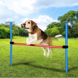 maxxpro,agility,spring,stick,set,agility,for,dogs
