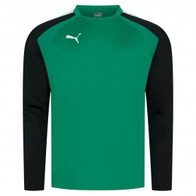 мъжка,блуза,мъжки,пуловери,puma,teamliga,training,men,sweatshirt