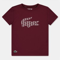 детски,облекла,lacoste,tee,shirt,in99,expresso