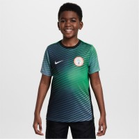 юношеска,футболна,фланелка,детски,тениски,облекла,с,футболна,тема,nike,nigeria,academy,pro,home,pre,match,2024,shirt,junior,grey