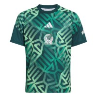 тениска,национални,отбори,футболни,фланелки,детски,тениски,adidas,kids,mexico,short,sleeve,t,shirt,green,white