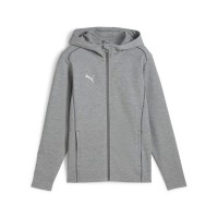 puma,teamfinal,casuals,hooded,jacket,grey