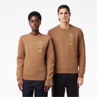 облекла,на,разпродажба,мъжки,пуловери,lacoste,lacoste,ah1779,jmpr,sn99,cookie
