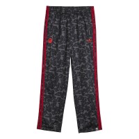 мъжки,ежедневни,облекла,adidas,originals,bape,firebird,trackpant,black