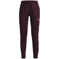 панталони,разпродажба,under,armour,всички,фитнес,облекла,under,armour,gs,challengr,pant,jn99,maroon